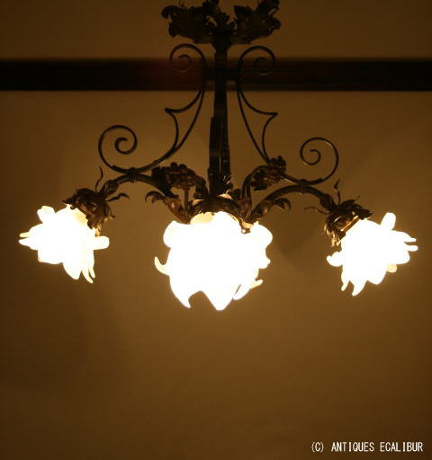 Ceiling Light (CL12)